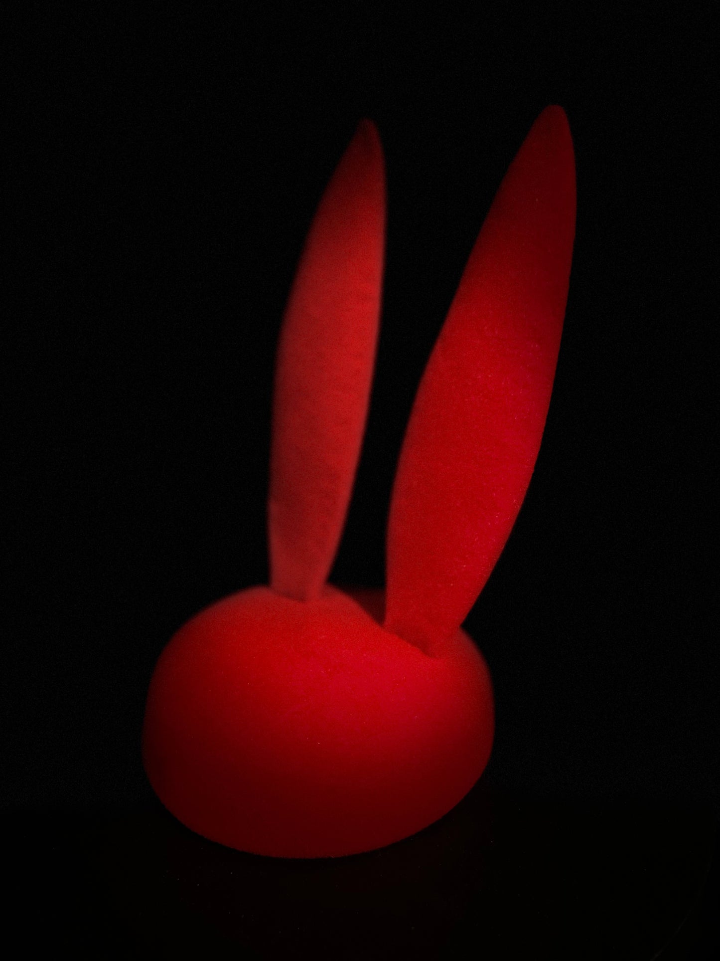 Red Bunny